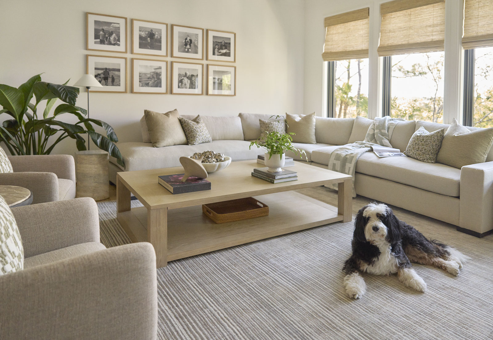 Sage-horizontal-living+dog Large kitchen island with green cabinetry and gold hardware accents